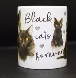 Black cats forever