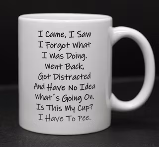 I Came I Saw