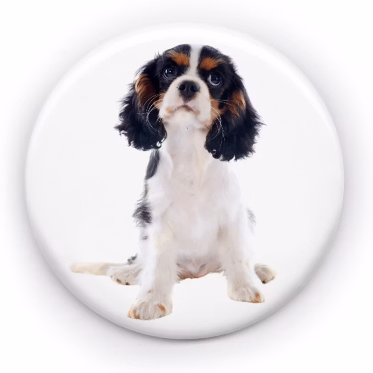Hund 8