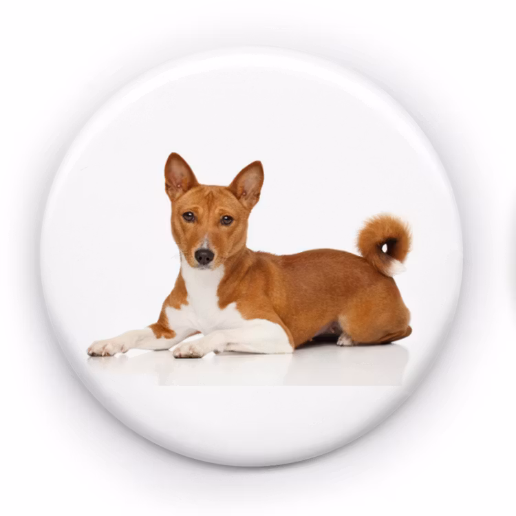 Basenji