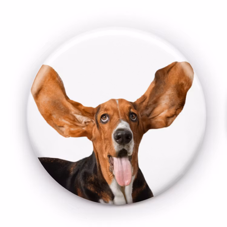Hund 4