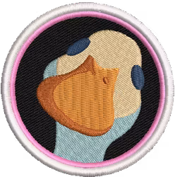 colorful duck