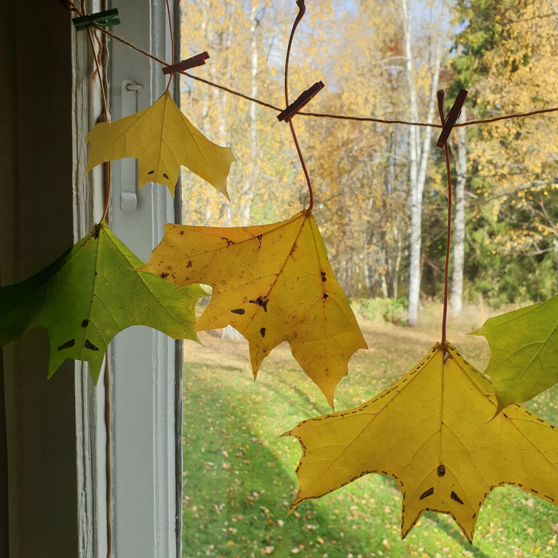 Pyssla med löv: gör fladdermöss till Halloween!