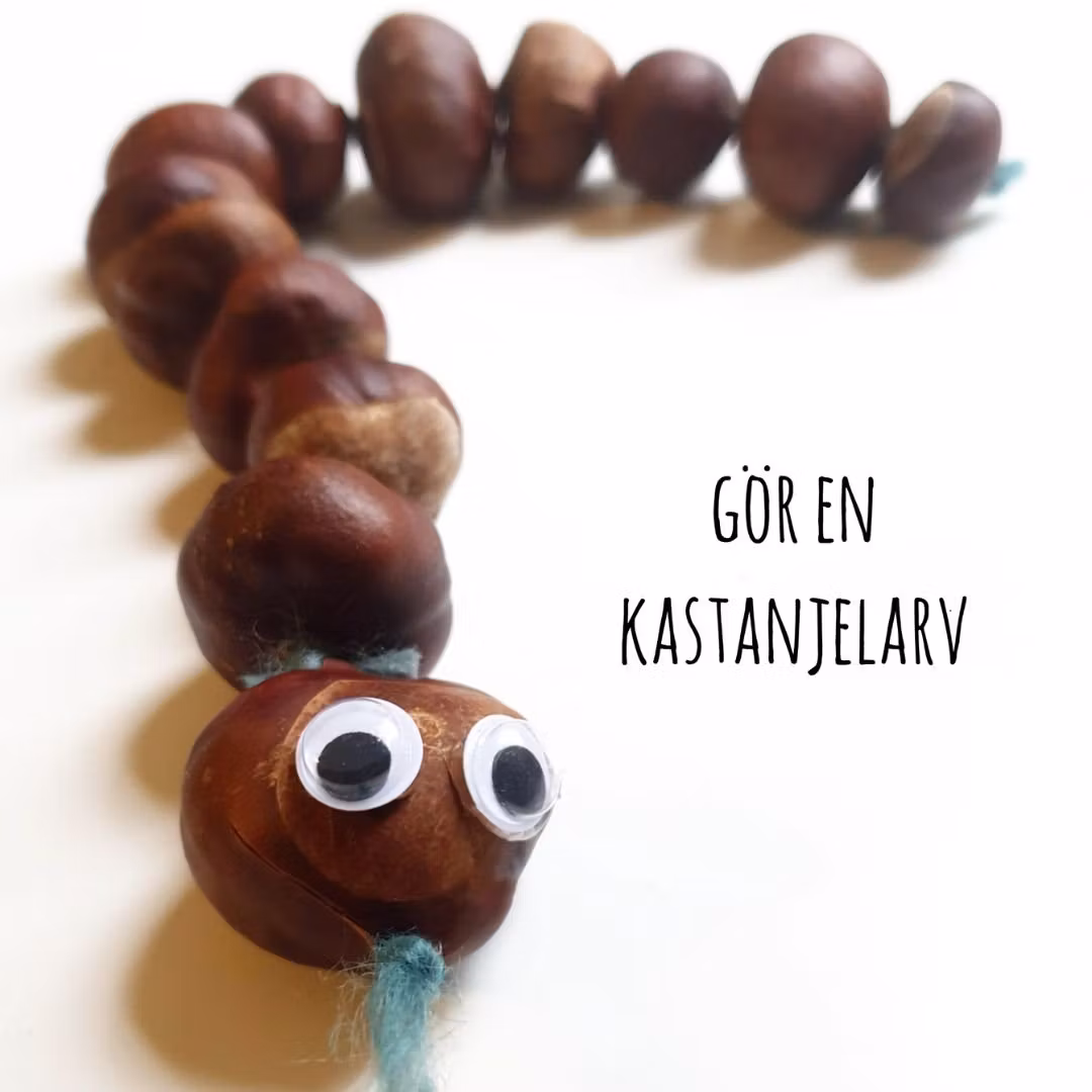 Gör en larv av kastanjer!