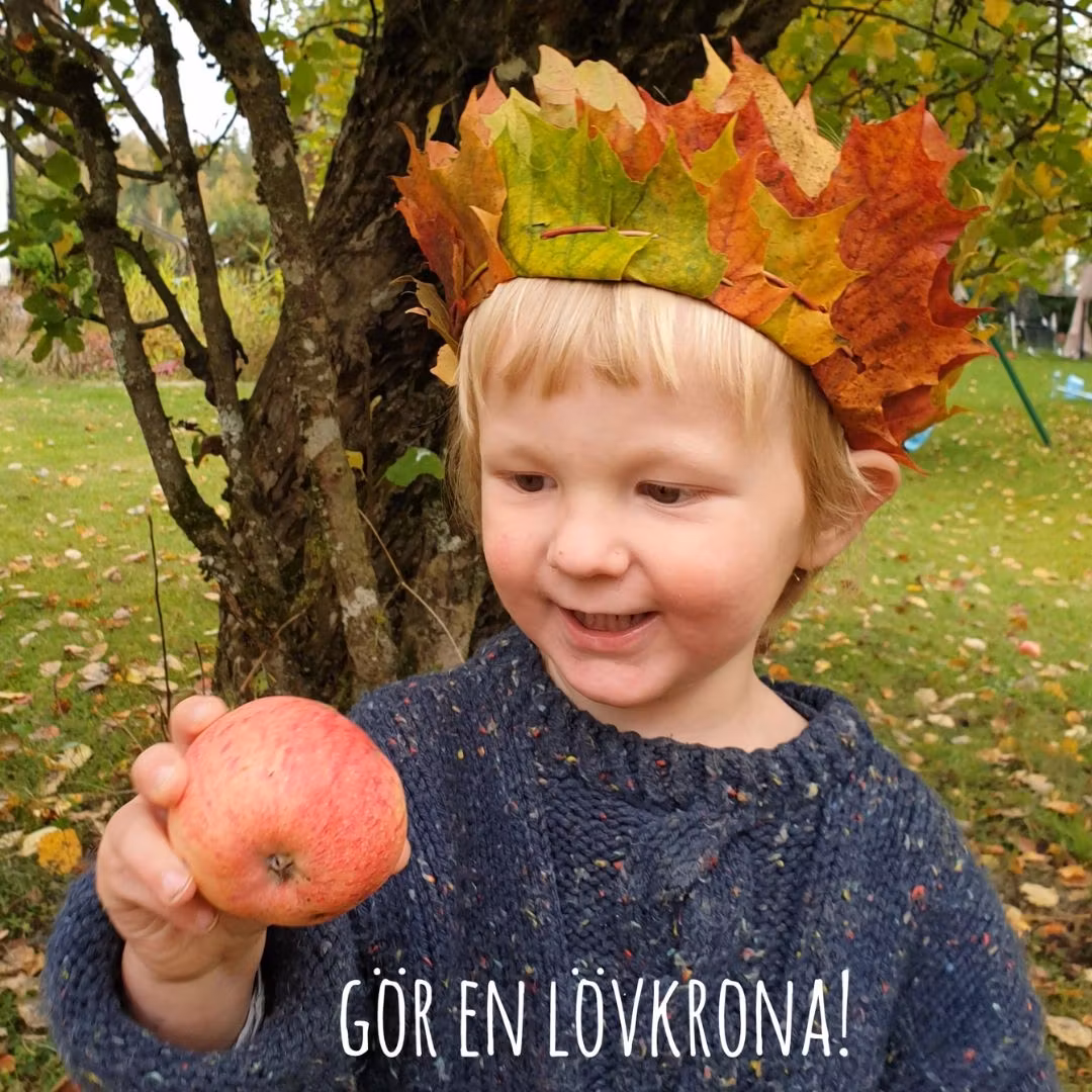 Gör en lövkrona av lönnlöv!