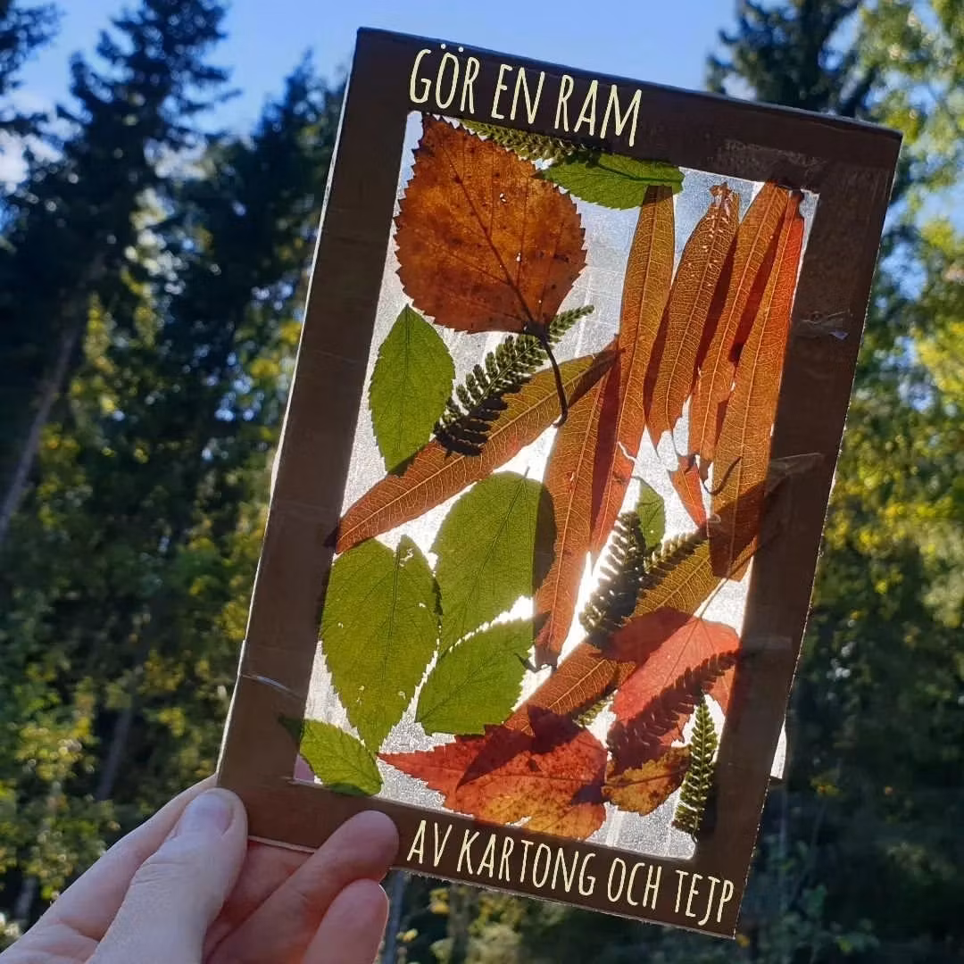 Ljusfångare av höstlöv eller blommor