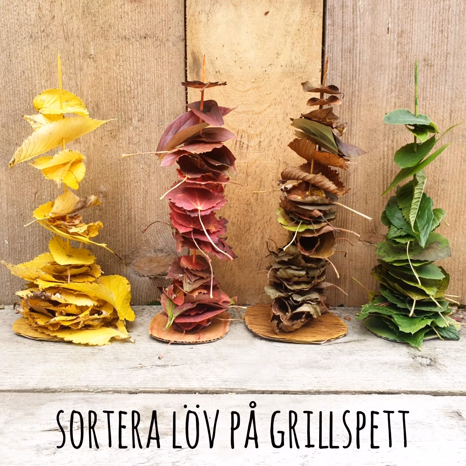 Sortera höstlöv på grillspett