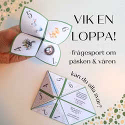 Vik en loppa - frågesport