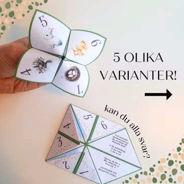 Vik en loppa - frågesport