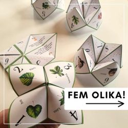 Vik en loppa - på lekplatsen