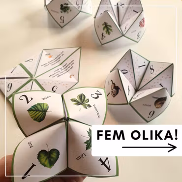 Vik en loppa - på lekplatsen