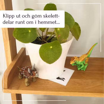 Dinosauriejakten!