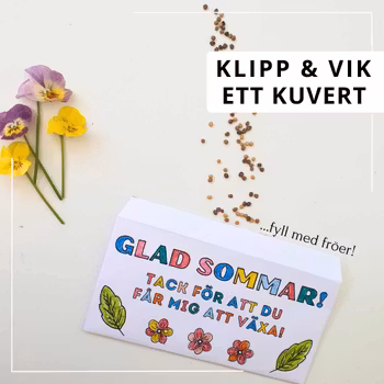 Pedagogpresenter - sommar
