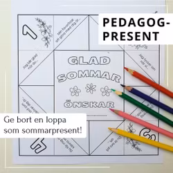 Vik en loppa - pedagogpresent