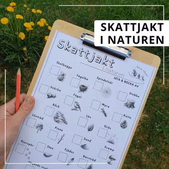 Skattjakt i naturen