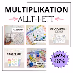 Multiplikation - ALLT I ETT!