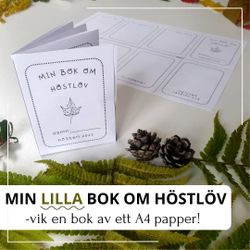 Min -lilla- bok om höstlöv