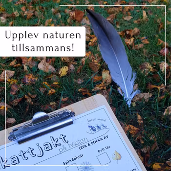 Skattjakt i naturen - tema höst