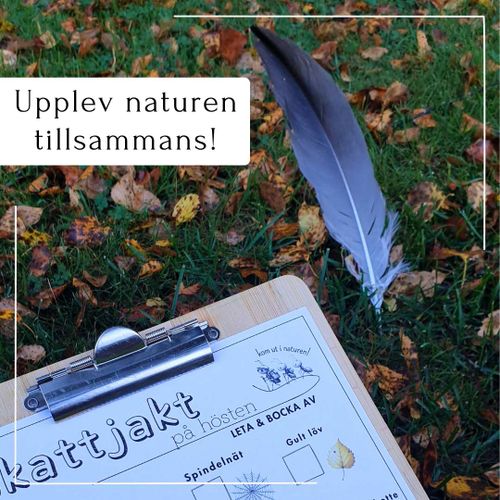 Skattjakt i naturen - tema höst