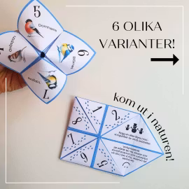 Vik en loppa - tema vinter!