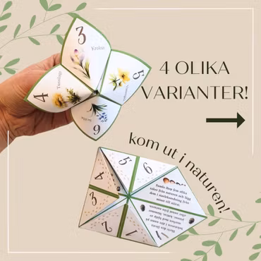 Vik en loppa - tema vår!