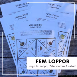 Naturköket - loppor