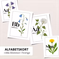 Bokstavskort - vilda växter i Sverige