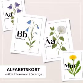 Bokstavskort - vilda växter i Sverige