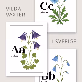 Bokstavskort - vilda växter i Sverige
