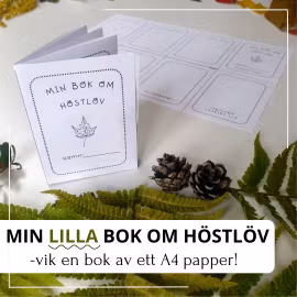 Min -lilla- bok om höstlöv