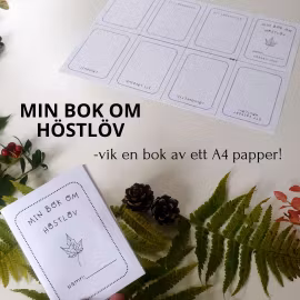 Min -lilla- bok om höstlöv