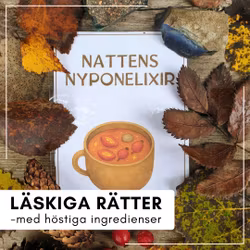 Receptkort - tema halloween