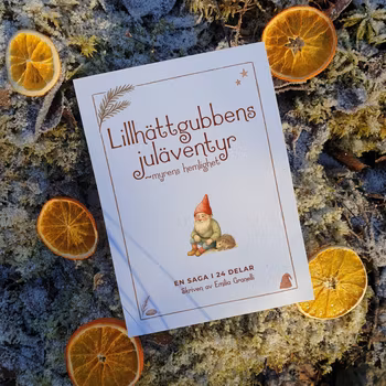 Lillhättgubbens juläventyr (myrens hemlighet) - en saga i 24 delar
