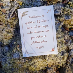 Lillhättgubbens juläventyr (myrens hemlighet) - en saga i 24 delar