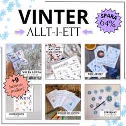 Vinter - ALLT I ETT!