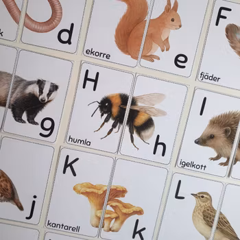 Bokstavspussel - versaler & gemener