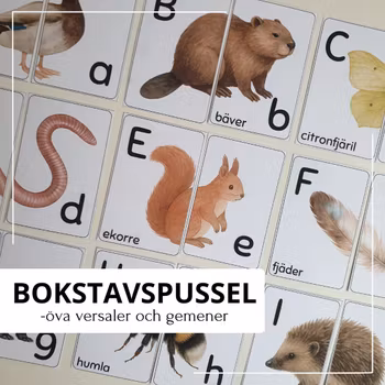 Bokstavspussel - versaler & gemener