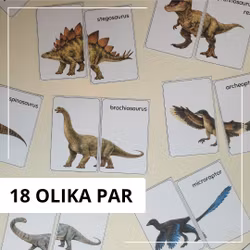 Dinosaurier - pussel och flashcards