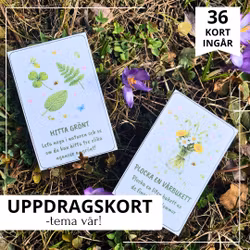Uppdragskort - tema vår