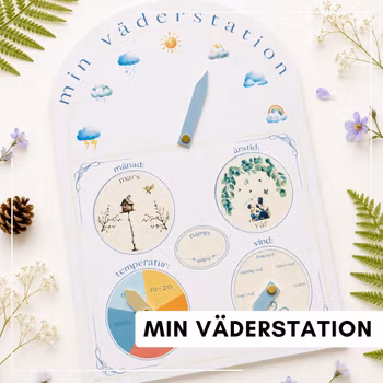 Min väderstation