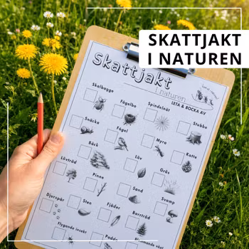 Skattjakt i naturen
