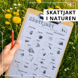 Skattjakt i naturen
