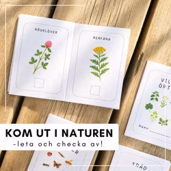 Små sommarböcker