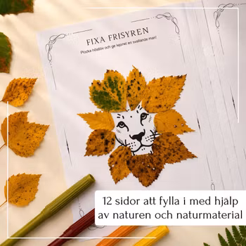 Min bok om hösten – 11 naturuppdrag