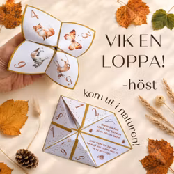 Höstloppor – 4 lekar och uppdrag