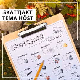 Höstskattjakt i naturen