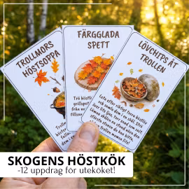 Skogens höstkök – 12 uppdrag för uteköket