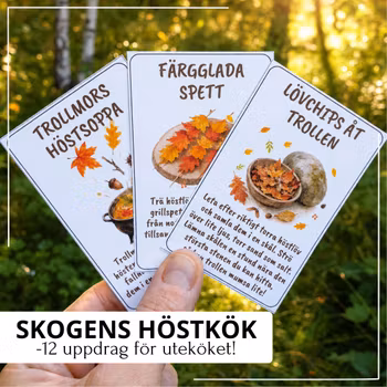 Skogens höstkök – 12 uppdrag för uteköket