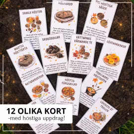 Skogens höstkök – 12 uppdrag för uteköket