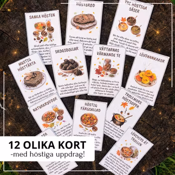 Skogens höstkök – 12 uppdrag för uteköket